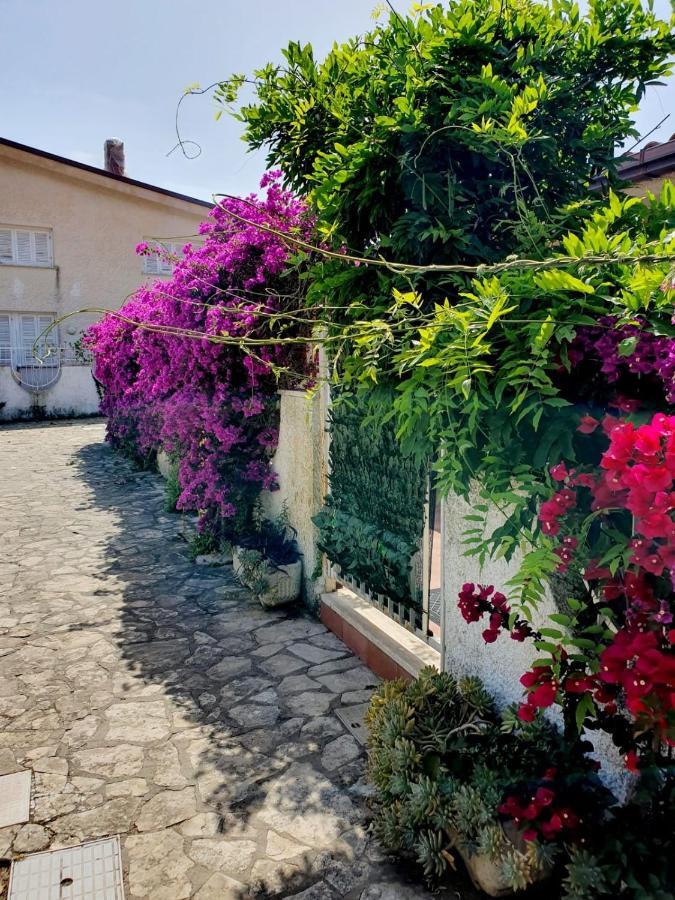 Casa Susy Bouganville 400 Mt Dal Mare 斯佩隆加 外观 照片